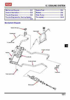 TGB Blade 250 ATV Quad Service Repair Manual, Page 132