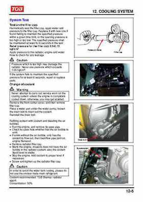 TGB Blade 250 ATV Quad Service Repair Manual, Page 136