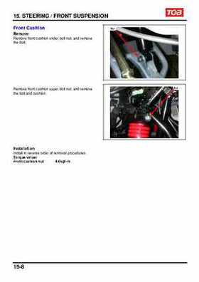 TGB Blade 250 ATV Quad Service Repair Manual, Page 173