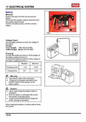 TGB Blade 250 ATV Quad Service Repair Manual, Page 197