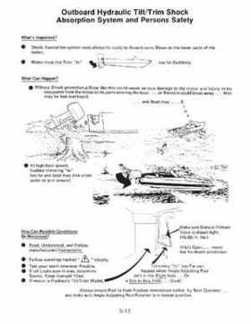 2000 Johnson/Evinrude SS 25, 35 3-Cylinder outboards Service Repair Manual P/N 787068, Page 246