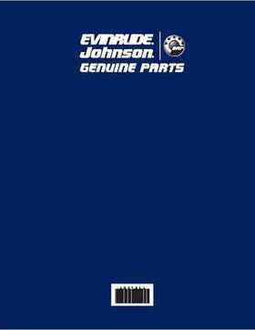 2007 Evinrude E-Tec 75, 90 HP outboards Service Repair Manual P/N 5007211, Page 344