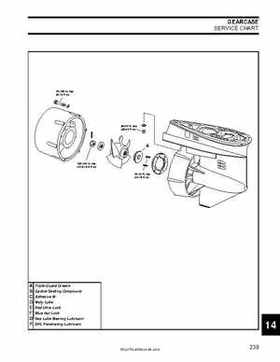 2008 Evinrude E-TEC 55MFE Technical Manual, Page 240