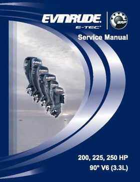 2008 Evinrude E-Tech 200-250 HP Service Manual, Page 1