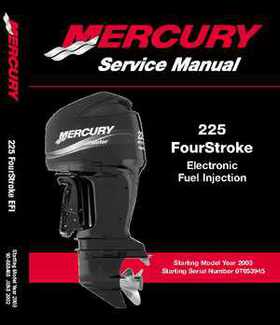 2003+ Mercury Mariner 225 HP EFI 4-Stroke Service Manual, Page 1