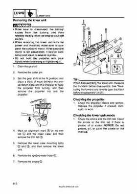 2009 Yamaha F40 Outboard Service Manual, Page 247