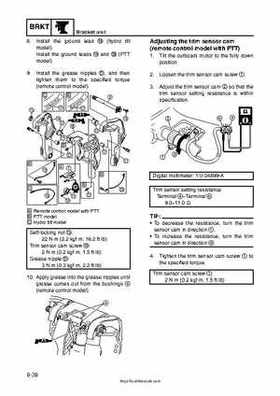 2009 Yamaha F40 Outboard Service Manual, Page 325