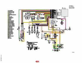 2000-2009 Arctic Cat Snowmobiles Wiring Diagrams, Page 247