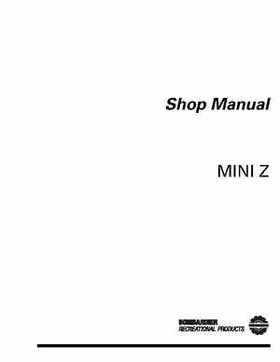 2001 Ski-Doo Mini Z Factory Shop Manual, Page 2