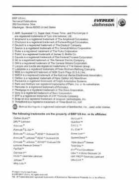 2006 Johnson SD 30 HP 4 Stroke Outboards Service Repair Manual, PN 5006592, Page 2